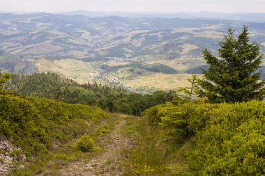 Yeşil dağlar ve mavi bulutlu gökyüzü