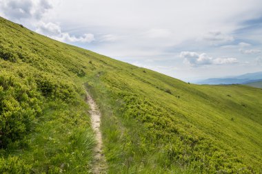 Yeşil dağlar ve mavi bulutlu gökyüzü