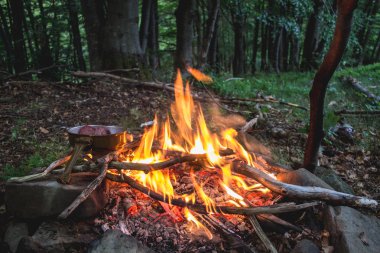 Dağ ormanda kamp yangın