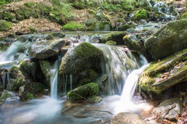 Nehir ve dağ ormandaki küçük şelale