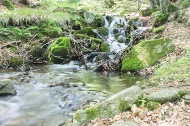 Nehir ve dağ ormandaki küçük şelale