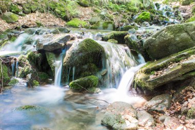 Nehir ve dağ ormandaki küçük şelale