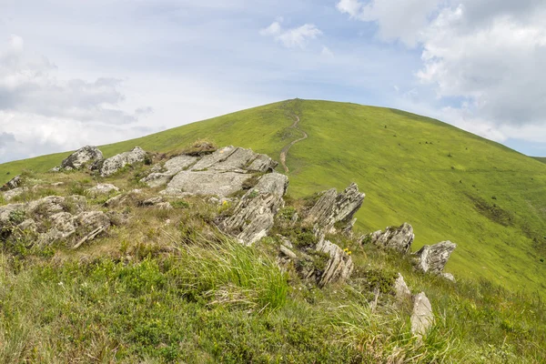 Montagne verdi e cielo azzurro nuvoloso — Foto Stock