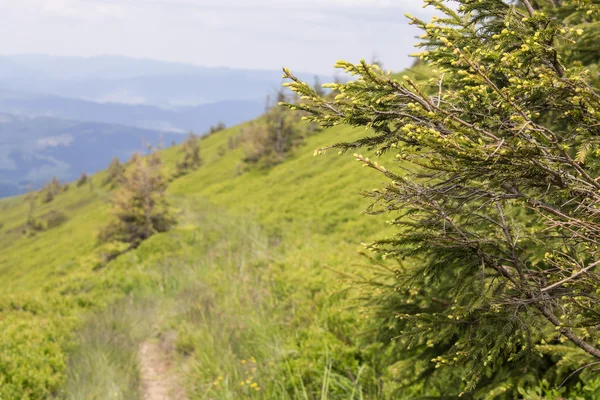 Green mountains and blue cloudy sky — Stock Photo, Image