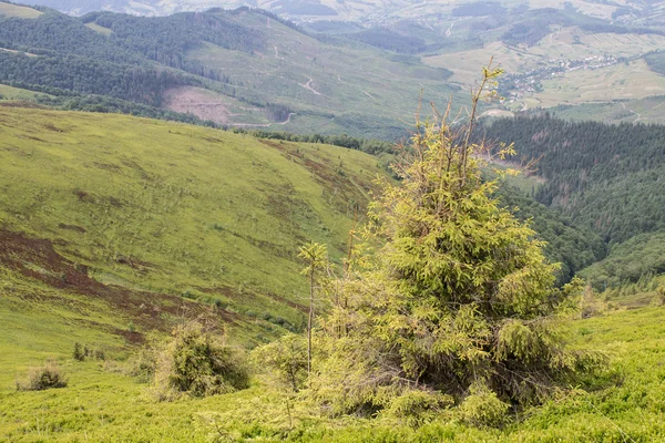 Montañas verdes y cielo azul nublado — Foto de Stock