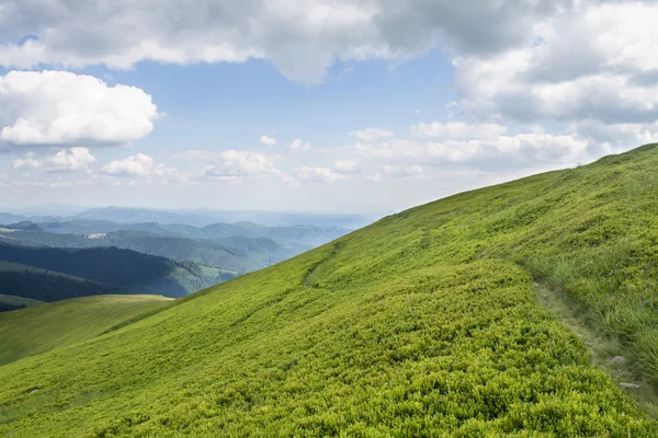 Montagnes vertes et ciel nuageux bleu — Photo