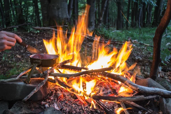 산 숲에 캠핑에 불 스톡 사진