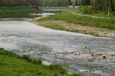 Nehir akışı kasaba ve bankalar üzerinde yeşil çimen