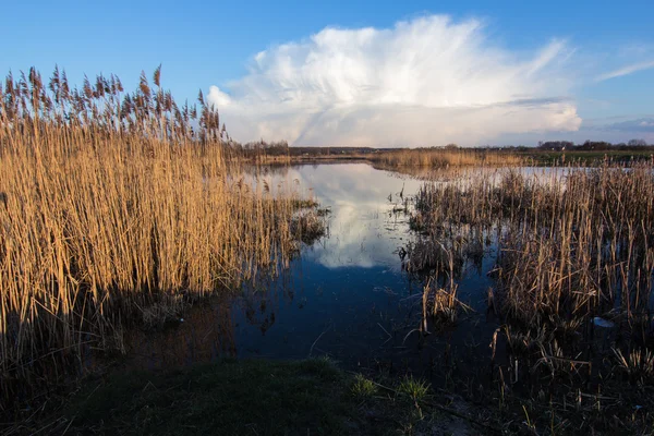 Vackra våren sjön landskap — Stockfoto