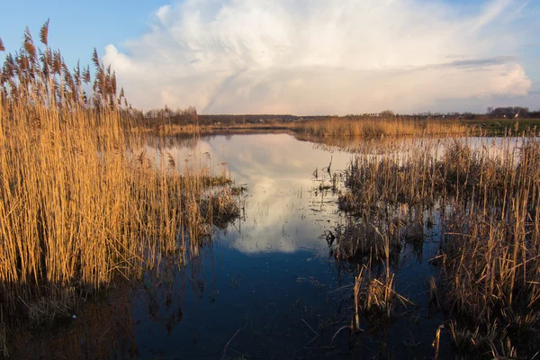 Vackra våren sjön landskap — Stockfoto