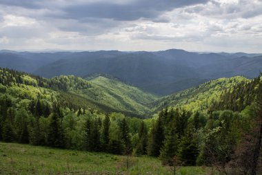 Beyaz bulutların üstünde mavi gökyüzü manzara ile yeşil yaz dağlarda yolu