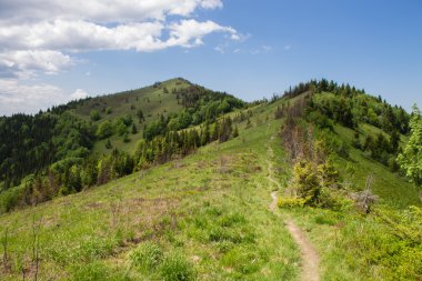 Beyaz bulutların üstünde mavi gökyüzü manzara ile yeşil yaz dağlarda yolu