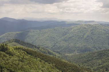 Beyaz bulutların üstünde mavi gökyüzü manzara ile yeşil yaz dağlarda yolu