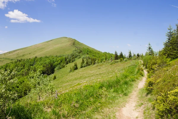 Cesta v horách zelené letní bílé mraky na modré obloze krajina — Stock fotografie