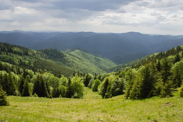 Camino en verdes montañas de verano con nubes blancas en el paisaje del cielo azul — Foto de Stock