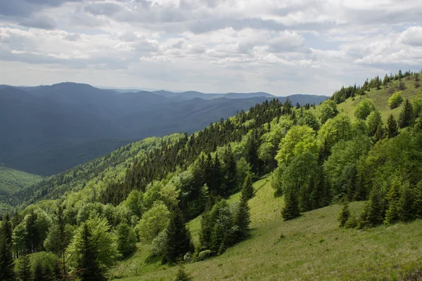 Camino en verdes montañas de verano con nubes blancas en el paisaje del cielo azul — Foto de Stock