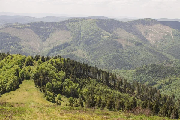 Cesta v horách zelené letní bílé mraky na modré obloze krajina — Stock fotografie