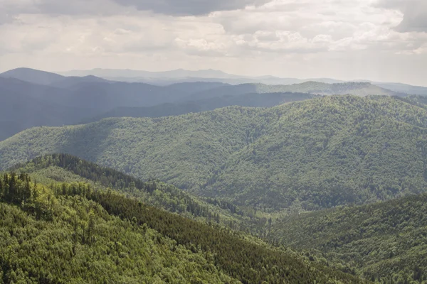 Beyaz bulutların üstünde mavi gökyüzü manzara ile yeşil yaz dağlarda yolu