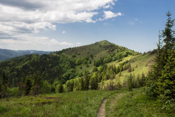 Path in green summer mountains with white clouds on blue sky landscape — Stock Photo, Image