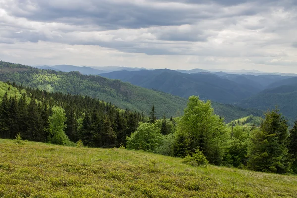 Pad in groene zomer bergen met witte wolken op blauwe hemel landschap — Stockfoto