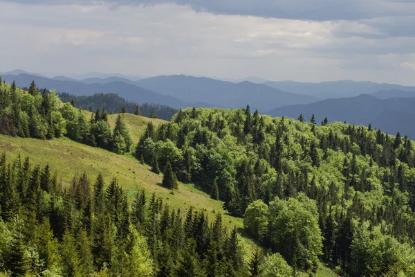 Cesta v horách zelené letní bílé mraky na modré obloze krajina — Stock fotografie