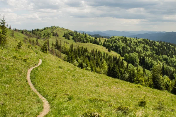 Camino en verdes montañas de verano con nubes blancas en el paisaje del cielo azul — Foto de Stock