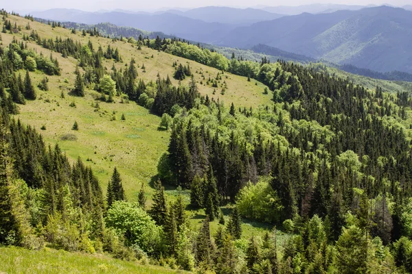 Cesta v horách zelené letní bílé mraky na modré obloze krajina — Stock fotografie