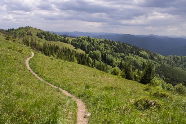 Camino en verdes montañas de verano con nubes blancas en el paisaje del cielo azul — Foto de Stock