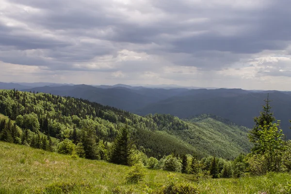 Camino en verdes montañas de verano con nubes blancas en el paisaje del cielo azul — Foto de Stock