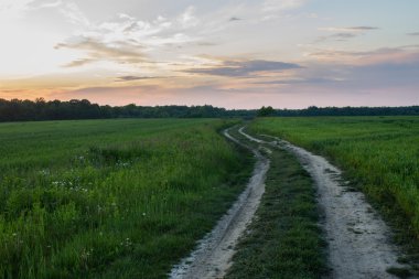 Günbatımı yaz alanında çimen ışık