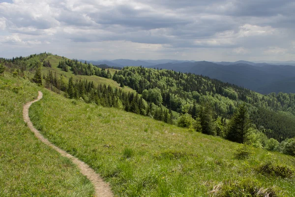 Sentiero in verdi montagne estive con nuvole bianche sul cielo blu paesaggio — Foto Stock