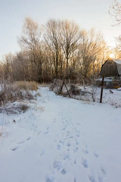 Winterlandschaft des Dorfes Stockbild