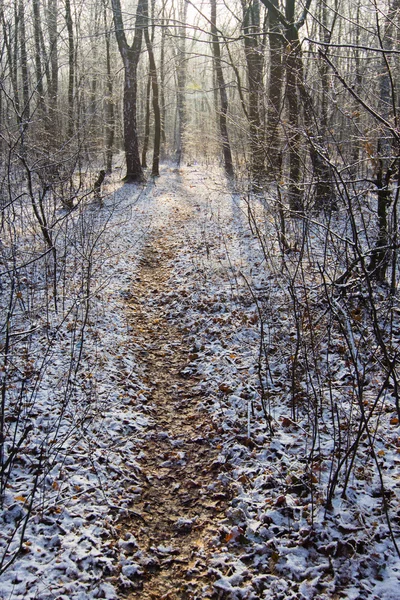 Weg im weißen Schnee durch den Winterwald — Stockfoto