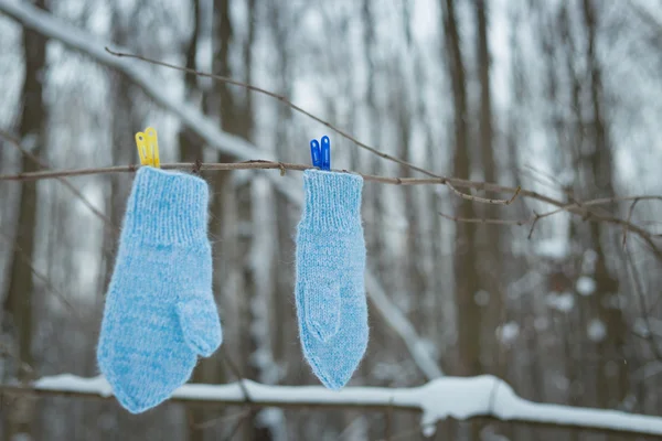 Mittens hanging by a thread in winter outside. Winter symbol.