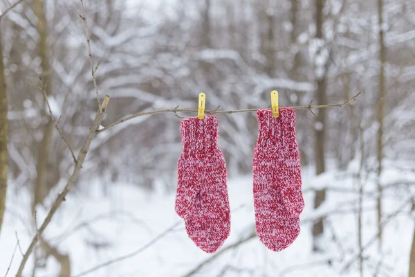 Red mittens on clothespins in the forest