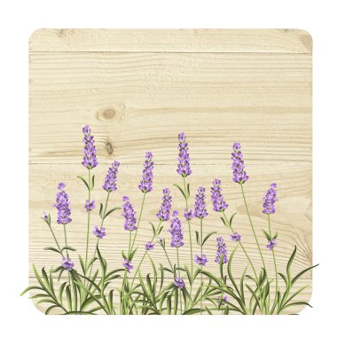 Luxurious vintage frame. vector Luxurious vintage frame. vector
