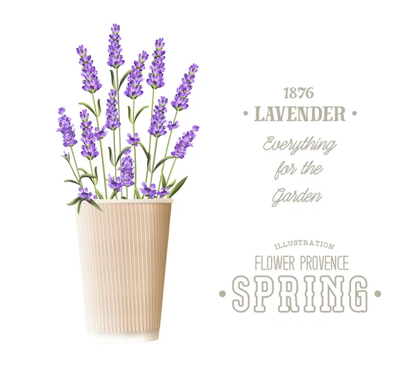 Label tanda Lavender - Stok Vektor