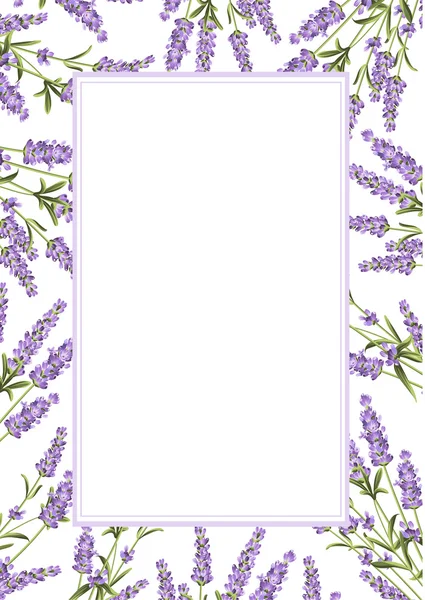 De lavendel frame-lijn. — Stockvector