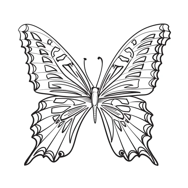 Flying butterfy card. Vector Graphics