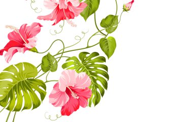 tropikal çiçek çelenk.