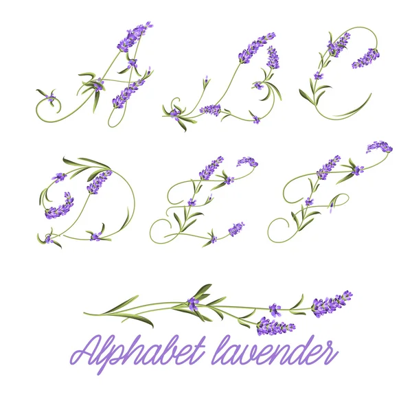 Conjunto de flores de lavanda . — Archivo Imágenes Vectoriales