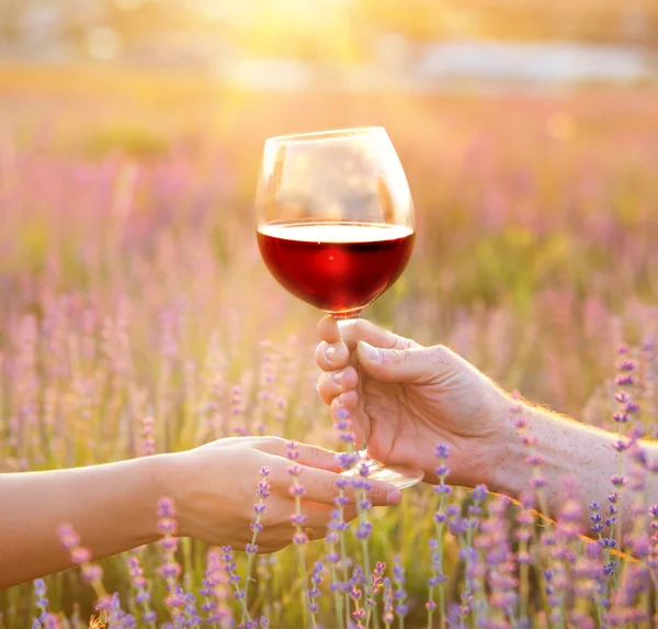 Wine glass against lavender landscape in sunset rays. — Stock Photo, Image