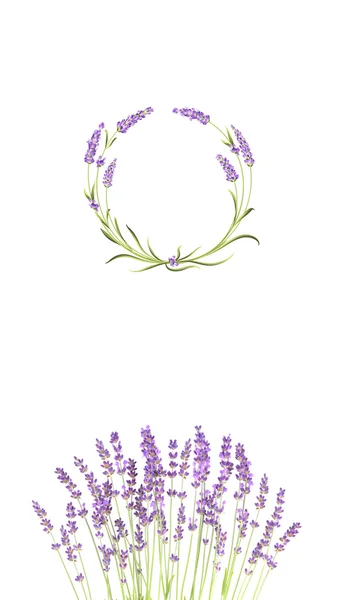 Wreath of lavender. — Stock Photo, Image