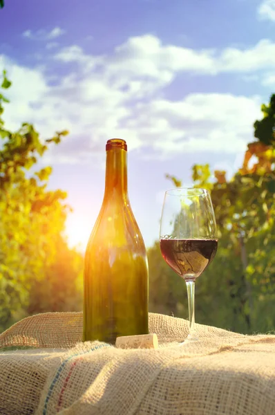 Glas vin med flaska. — Stockfoto