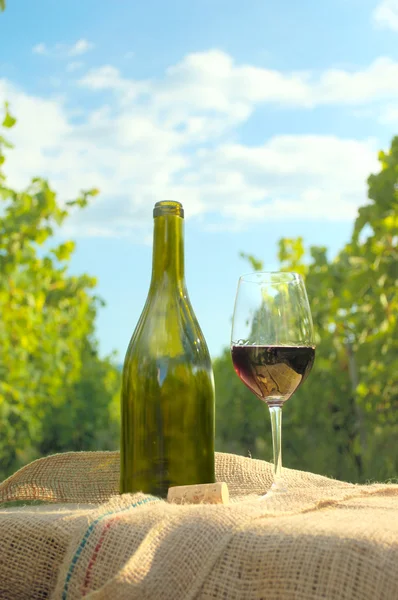 Glas Wein mit Flasche. — Stockfoto