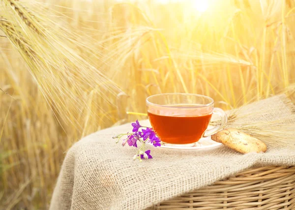 Galletas caseras y taza de té . — Foto de Stock