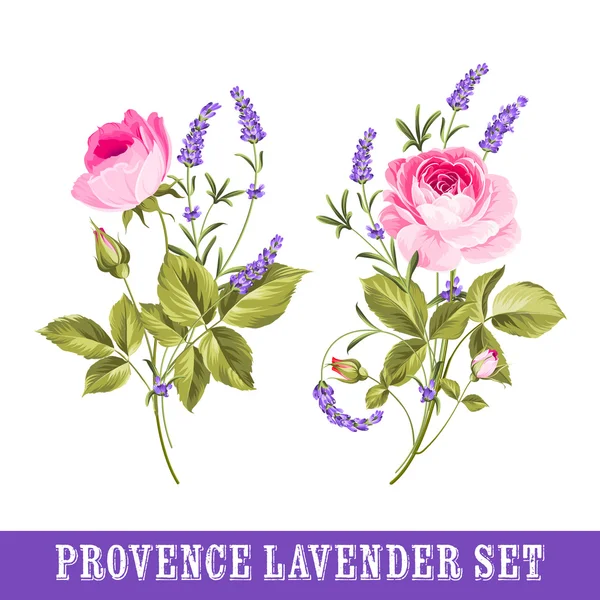 라벤더 꽃의 요소들로 이루어진 세트 — 스톡 사진