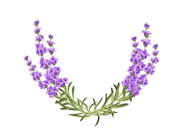 Bunch of lavender. — Stock Photo, Image