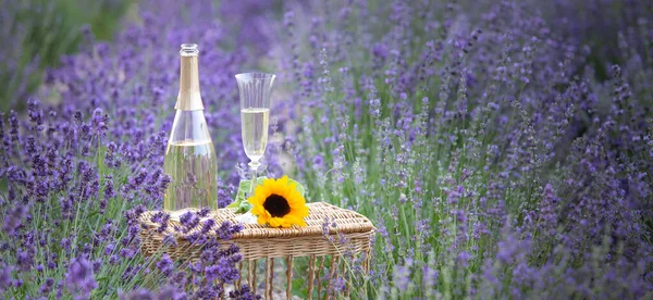 Бутылка шампанского на фиолетовом лавандовом поле. — стоковое фото
