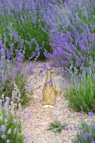 Champagne is poured into glasses in a sunset lavender field. — Stock Photo, Image